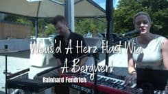 Weus'd A Herz Hast Wia Bergwerk - (Reinhard Fendrich) - Cover by The LittleButton's